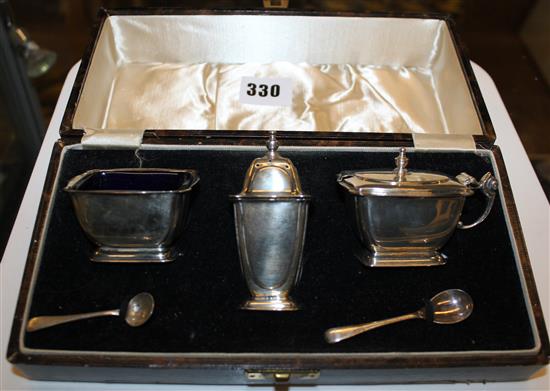 Cased condiment set